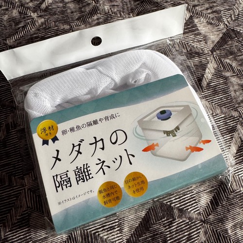 White medaka fish floating - medaka,