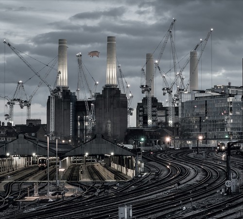 Pink floyd animals 2018 - pink,