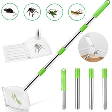 Spider Catcher Spider Pest