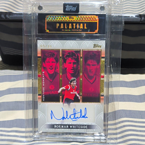 Topps palatial man - topps,