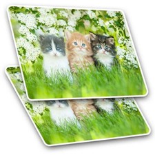 2 x Rectangle Stickers 10 cm - Gorgeous Kittens Garden Cats Animals #8663