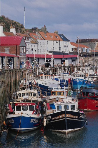 794082 fishing boats whitby - fishing,