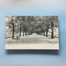 Beccles Postcard C1903 Suffolk