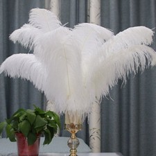 10PCS 25-40cm Large Ostrich