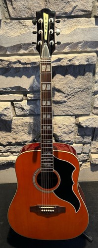 2021 eko ranger - eko, acoustic