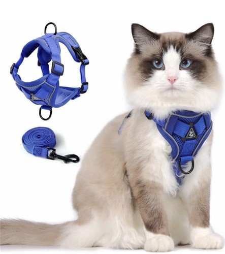Cat harness 5m lead - +,