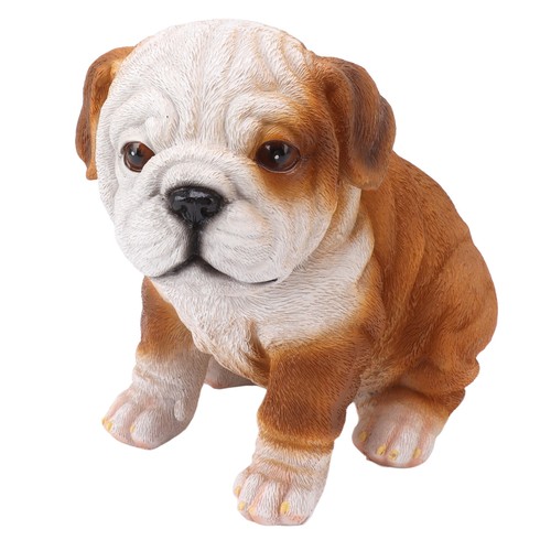 New english bulldog puppy - new,