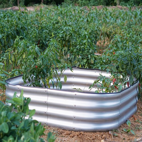 Garden outdoor raised - garden, planter