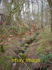 Photo 6x4 Cowgill Beck