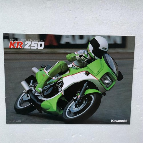 Kawasaki kr250 catalog - catalog, (1984)