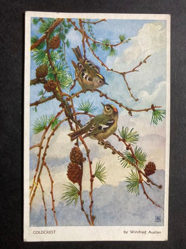 The goldcrest vintage - the,