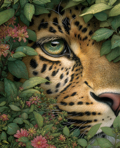 Jaguar close with olive and - jaguar,