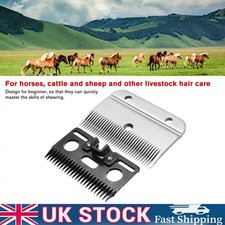 Heavy-Duty Medium Horse