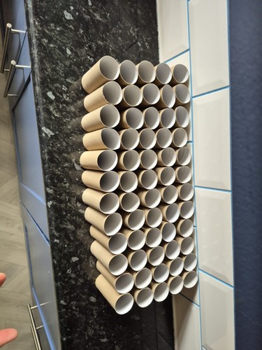 Empty toilet roll tubes 60 - empty,