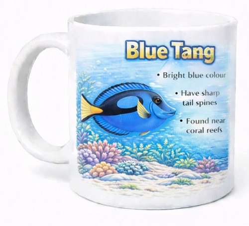 Blue tang educational sea life - tang,