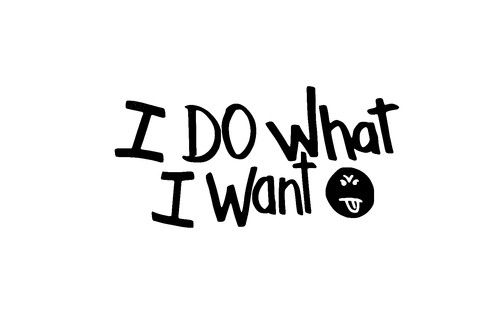 What want car van - what, ev