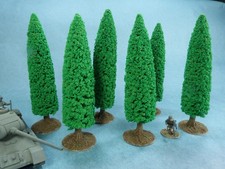 6 very large model Poplar