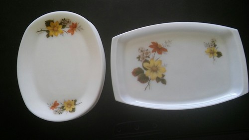 Jaj autumn glory steak plates - steak,