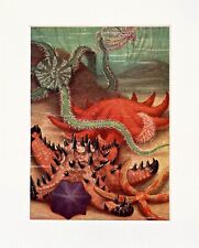 STARFISH, Star Fish, Sea