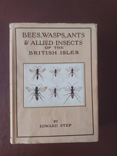 Wayside & Woodland, Bees, Wasps, Ants & Allied Insects 1932 1st edition Warne.
