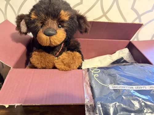 Charlie bears wellingtons the - wellingtons,