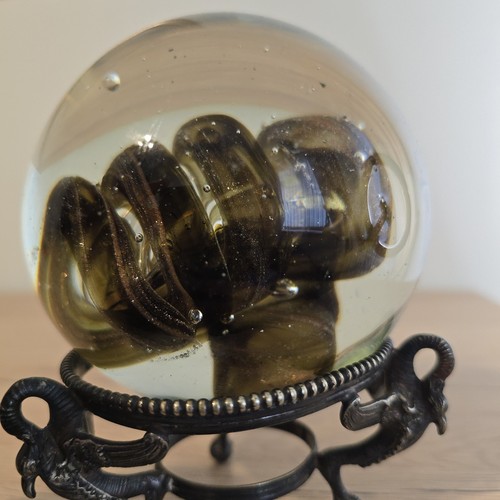 Glass paperweight hand blown - paperweight,