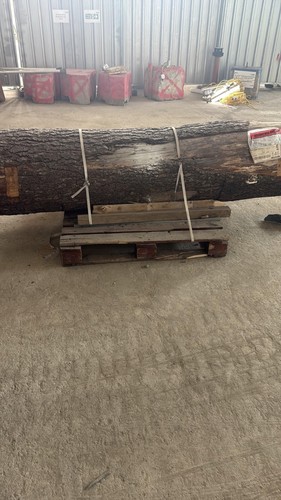 Wood log for - log,