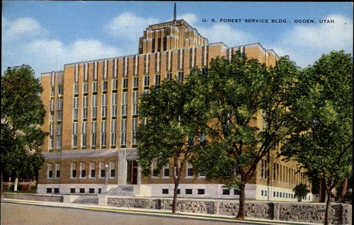 Forest service building - forest,