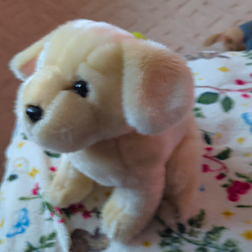 Paws plush labrador puppy - plush,