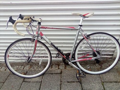 Racer bicycle raleigh pursuit