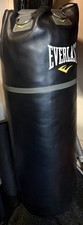 Everlast Boxing Bag
