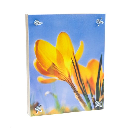 Deluxe flower press large - deluxe,