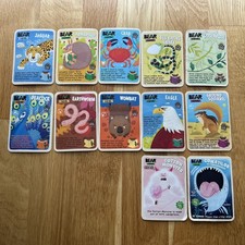 Bundle Bear Yoyo Animals Cards