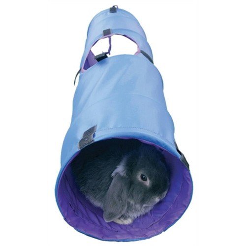 Small animal activity - animal,