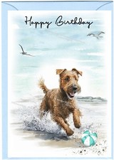 Irish Terrier Dog (4"x 6")