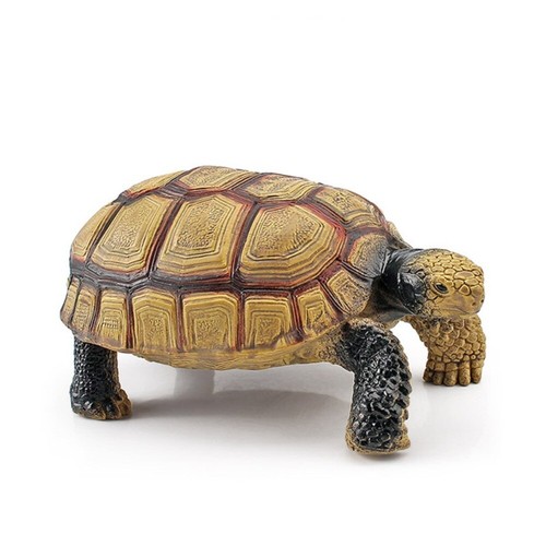 Sea turtle model realistic - turtle,