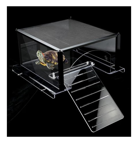 Lyl leyouland turtle basking - lyl,