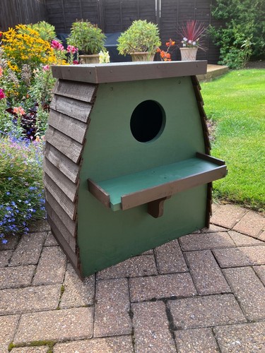 Barn owl nest box forest - nest,