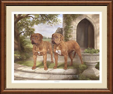DOGUE DE BORDEAUX limited edition fine art dog print 'Standing Proud'