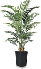 6FT Artificial Palm Tree - Tall Fake Tree with Black Taper Planter AUCTION