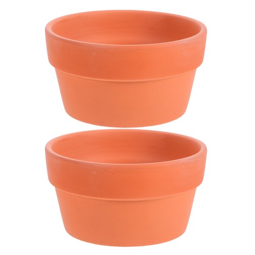 2pcs orange terracotta - 2pcs, cactus