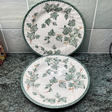 Pair Of BHS Country Vine 8” Plates