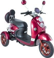 NEW 3 Wheeled 60V 20AH 600W