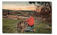 A TOHUNGA WEAVING AN EEL TRAP: New Zealand postcard (C91675)