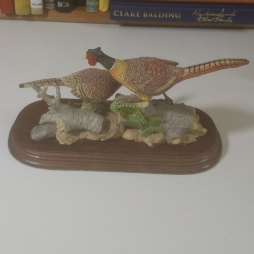 Pheasants and chicks - 2,