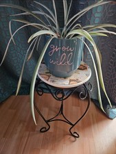 Plant stand/side lamp table wrought Iron black scrollwork decoupage wooden...