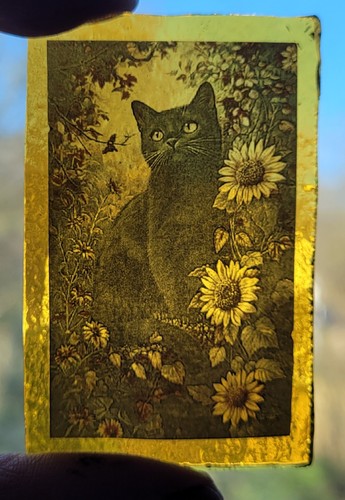 Stained glass black cat - glass,