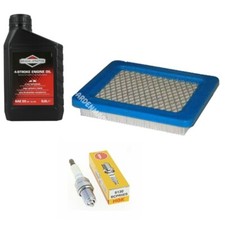 Briggs & Stratton 4HP Vanguard