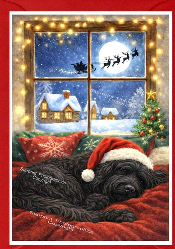 Briard black dog - black, christmas