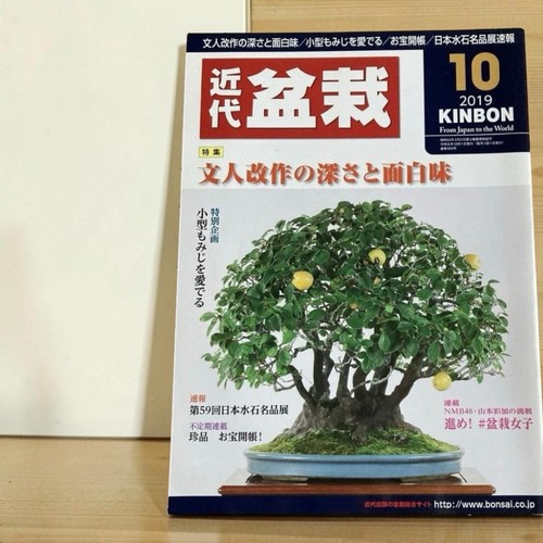Modern bonsai october - bonsai, 2019